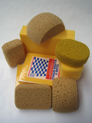 Hydro Sponge Varieties 2