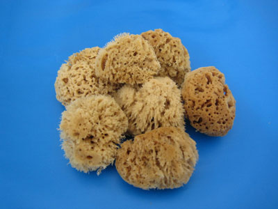 Natural Sponges 2